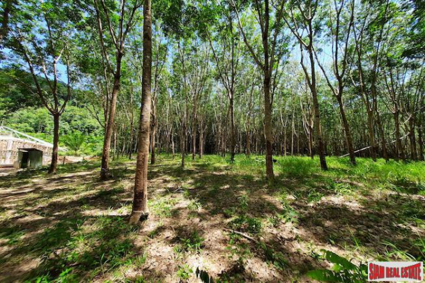 Over Four Rai of Land for Sale in Developing Area of Nong Thaley-5