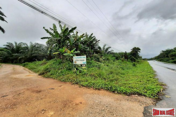 Over 111 Rai of Land with Large Palm Plantation for Sale in Ao Leuk, Krabi-3