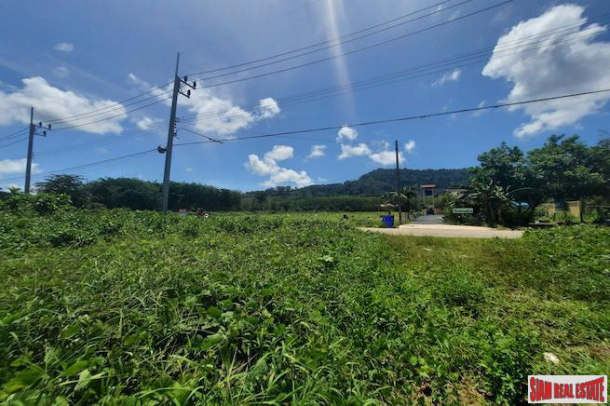 Prime Land Plot Near Main Phuket Road for Sale in Thalang-4