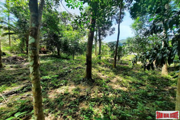 Over Two Rai of Krabi Land with House and Rubber Plantation and Great Sea Views of Thalen Bay for Sale-10