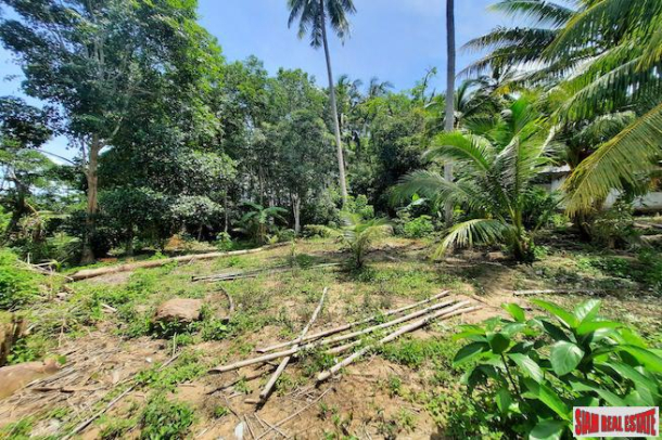 Over Two Rai of Krabi Land with House and Rubber Plantation and Great Sea Views of Thalen Bay for Sale-5