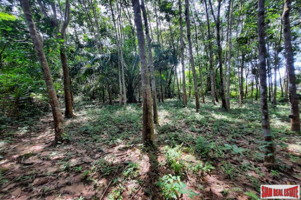 Over Two Rai of Krabi Land with House and Rubber Plantation and Great Sea Views of Thalen Bay for Sale-8
