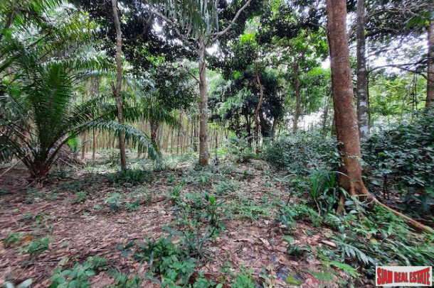 Over One Rai of Land for Sale Next to a Road in a Peaceful Quiet Nong Thaley  Area-5