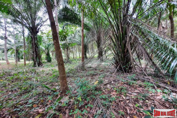 Over One Rai of Land for Sale Next to a Road in a Peaceful Quiet Nong Thaley  Area-8