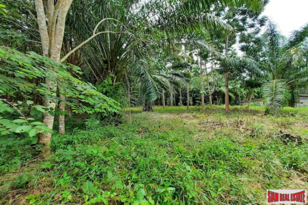 Over One Rai of Land for Sale Next to a Road in a Peaceful Quiet Nong Thaley  Area-9