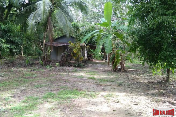 Land for Sale Near Tay Muang Beach and Old Town with Rubber and Fruit Trees-10