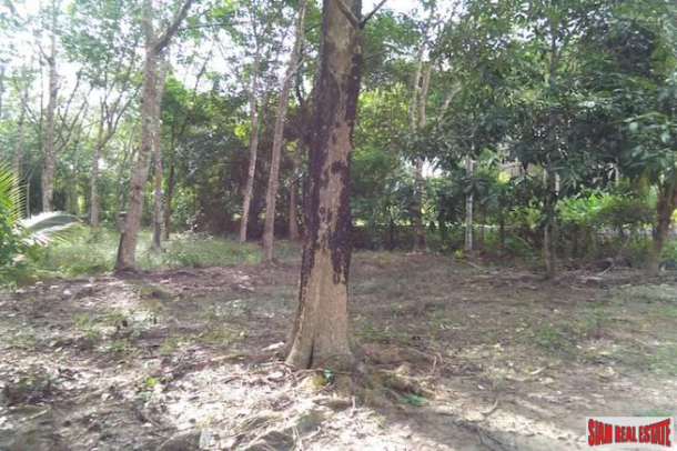 Land for Sale Near Tay Muang Beach and Old Town with Rubber and Fruit Trees-2