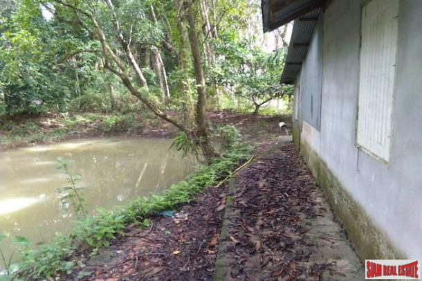 Land for Sale Near Tay Muang Beach and Old Town with Rubber and Fruit Trees-3