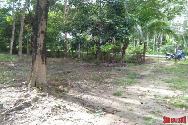 Land for Sale Near Tay Muang Beach and Old Town with Rubber and Fruit Trees-4