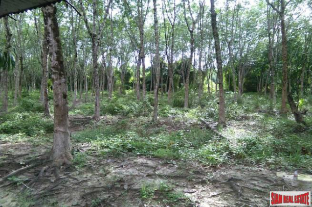 Land for Sale Near Tay Muang Beach and Old Town with Rubber and Fruit Trees-7