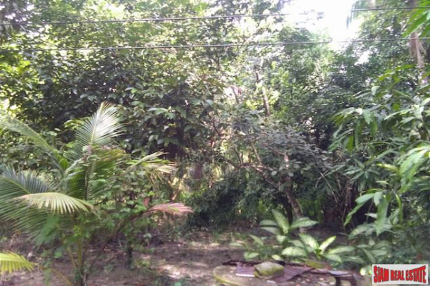 Land for Sale Near Tay Muang Beach and Old Town with Rubber and Fruit Trees-8