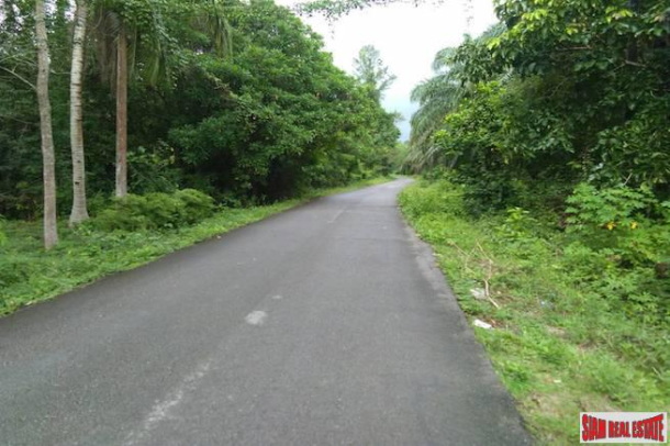 Land for Sale Near Tay Muang Beach and Old Town with Rubber and Fruit Trees-9