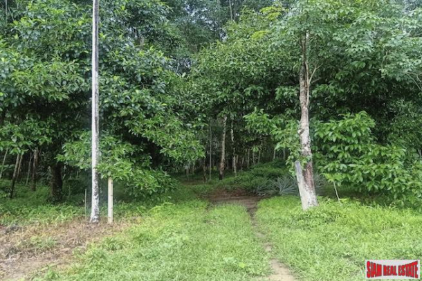 Green Tropical Land Plot with Fruit Trees and Rubber Plantation for Sale in Tay Muang-1