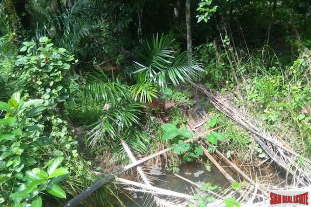 Green Tropical Land Plot with Fruit Trees and Rubber Plantation for Sale in Tay Muang-3