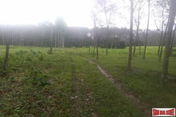 Green Tropical Land Plot with Fruit Trees and Rubber Plantation for Sale in Tay Muang-5