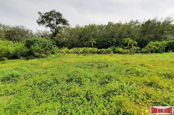 One Rai of Land in Quiet Green Zone for Sale in Ao Nang, Krabi-6