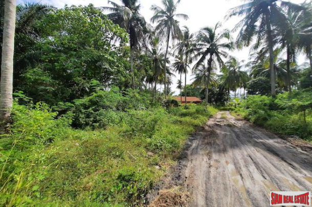 Beach Road Property - Nearly 10 Rai of Land for Sale in Popular Tourist Area of Nong Thaley-3