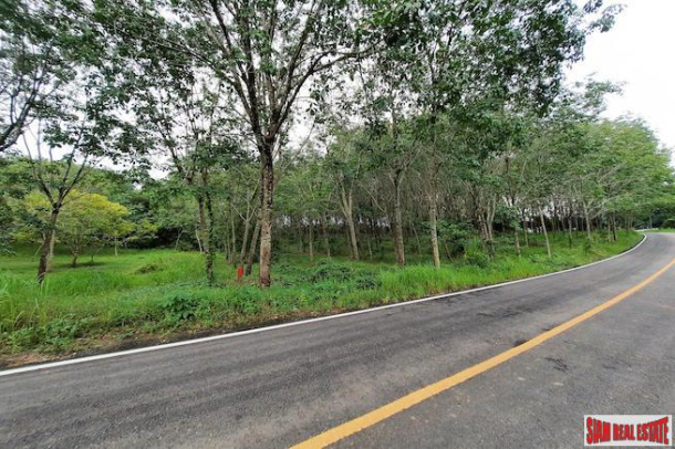 Over 10 Rai of Land for Sale with Rubber Plantation in Khao Thong, Krabi-1