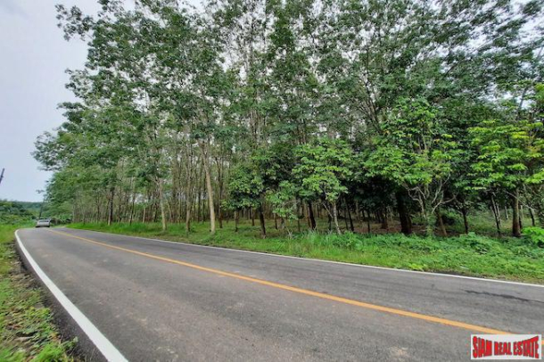 Over 10 Rai of Land for Sale with Rubber Plantation in Khao Thong, Krabi-3