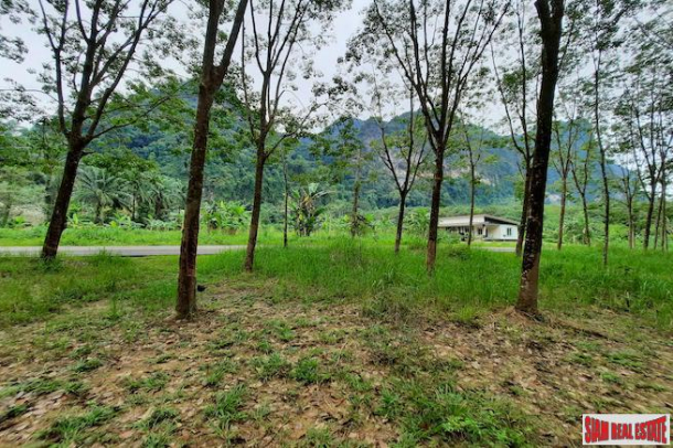 Over 10 Rai of Land for Sale with Rubber Plantation in Khao Thong, Krabi-6