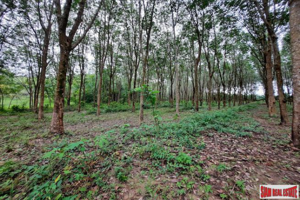 Over 10 Rai of Land for Sale with Rubber Plantation in Khao Thong, Krabi-7