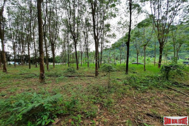 Over 10 Rai of Land for Sale with Rubber Plantation in Khao Thong, Krabi-8