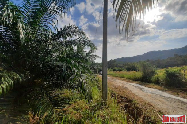 Nice Hillside Land Plot for Sale with Palm Trees in Ao Nang-2