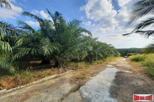 Nice Hillside Land Plot for Sale with Palm Trees in Ao Nang-3