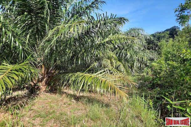 Nice Hillside Land Plot for Sale with Palm Trees in Ao Nang-8