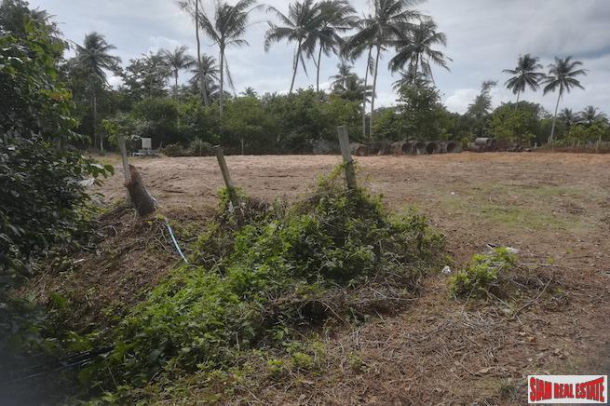 Eight + Rai Land for Sale in Mai Khao with Fully Operation Laundry Factory-6