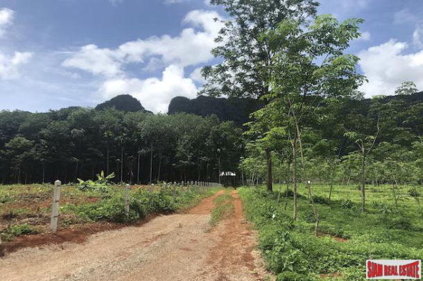 Over 8 Rai of Land for Sale in Khao Thong, Krabi - Close to Water Activities Area-1