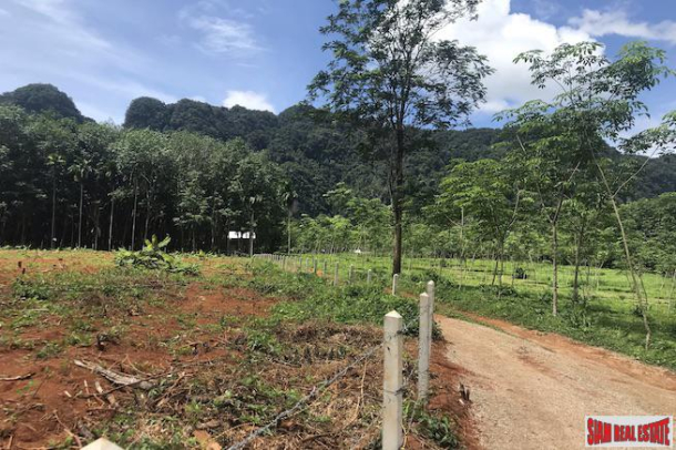 Over 8 Rai of Land for Sale in Khao Thong, Krabi - Close to Water Activities Area-10