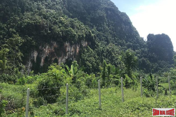 Over 8 Rai of Land for Sale in Khao Thong, Krabi - Close to Water Activities Area-4