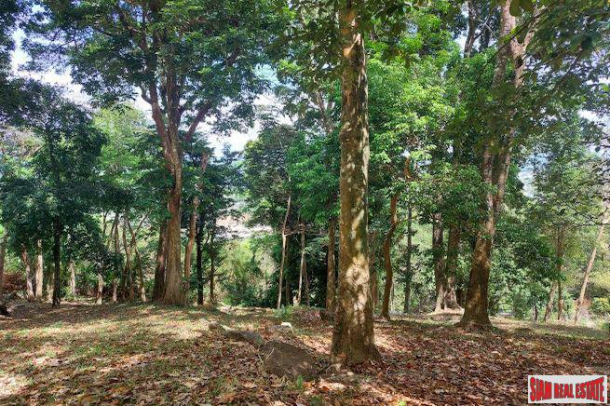 5 Rai of Sea View Land for Sale in the Chalong Hills-10