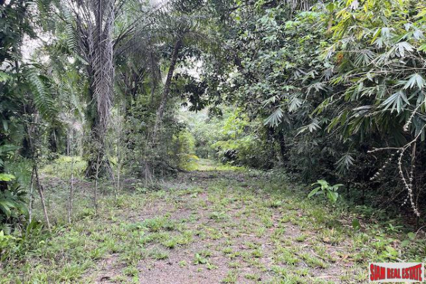Exceptional 10 Rai Land Plot for Sale that Surrounds a Crystal Clear Stream - Nong Thaley-1