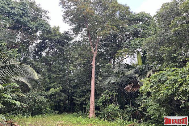 Exceptional 10 Rai Land Plot for Sale that Surrounds a Crystal Clear Stream - Nong Thaley-2