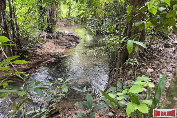 Exceptional 10 Rai Land Plot for Sale that Surrounds a Crystal Clear Stream - Nong Thaley-5