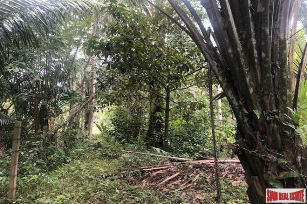Exceptional 10 Rai Land Plot for Sale that Surrounds a Crystal Clear Stream - Nong Thaley-7