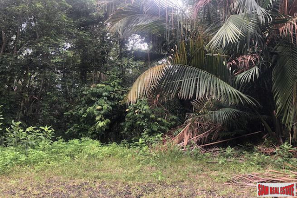 Exceptional 10 Rai Land Plot for Sale that Surrounds a Crystal Clear Stream - Nong Thaley-9