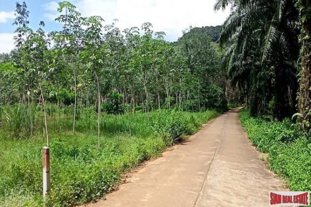 A 16 Rai Land Plot with Fantastic Mountain Views for Sale in Nong Talay-2