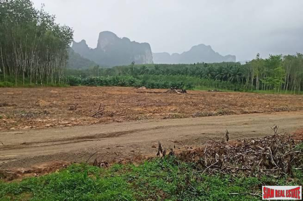A 16 Rai Land Plot with Fantastic Mountain Views for Sale in Nong Talay-3