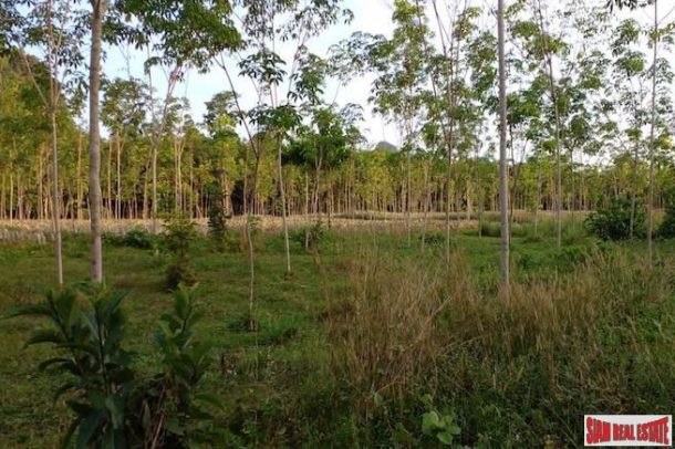 A 16 Rai Land Plot with Fantastic Mountain Views for Sale in Nong Talay-6