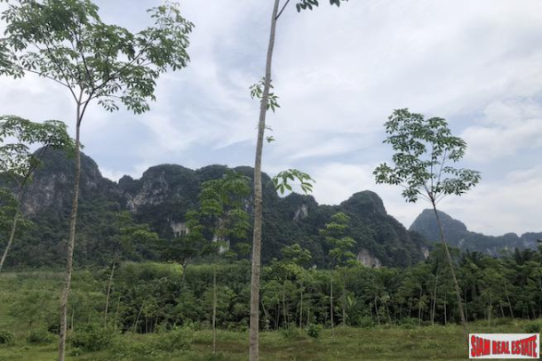 Over 26 Rai of Land for Sale in a  Great Khao Thong, Krabi Location-1