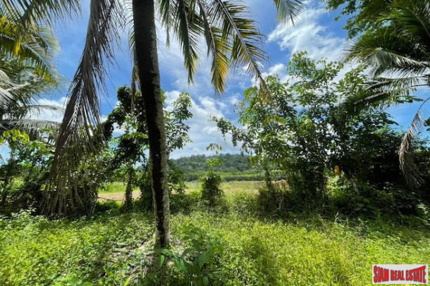 Over 5 Rai Land Plot with Rubber Plantation for Sale in Ao Nang, Krabi-10