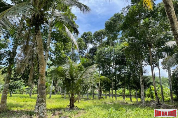 Over 5 Rai Land Plot with Rubber Plantation for Sale in Ao Nang, Krabi-11