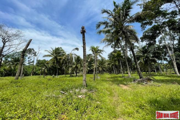 Over 5 Rai Land Plot with Rubber Plantation for Sale in Ao Nang, Krabi-9
