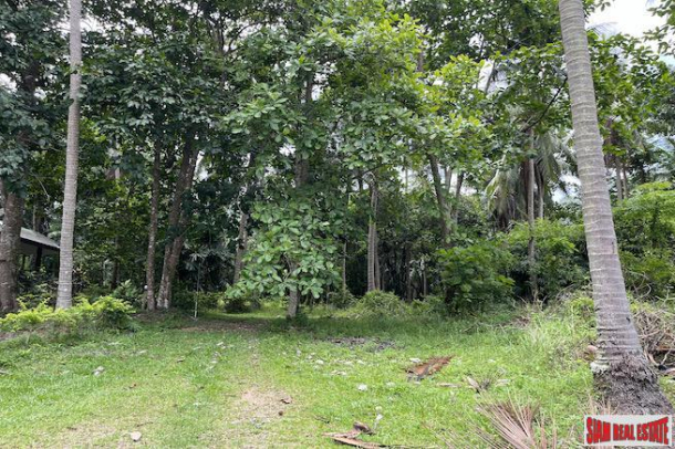 One Rai of Land for Sale in the Heart of Ao Nang - Only 3 minutes from the Beach-3