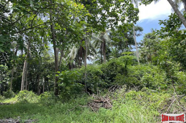 One Rai of Land for Sale in the Heart of Ao Nang - Only 3 minutes from the Beach-7