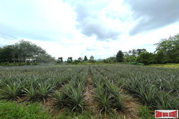 3 Rai Land Plot with Pineapple Plantation Near Villa Area for Sale in Ao Nang-1