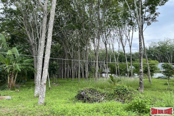 3 Rai Land Plot with Pineapple Plantation Near Villa Area for Sale in Ao Nang-2
